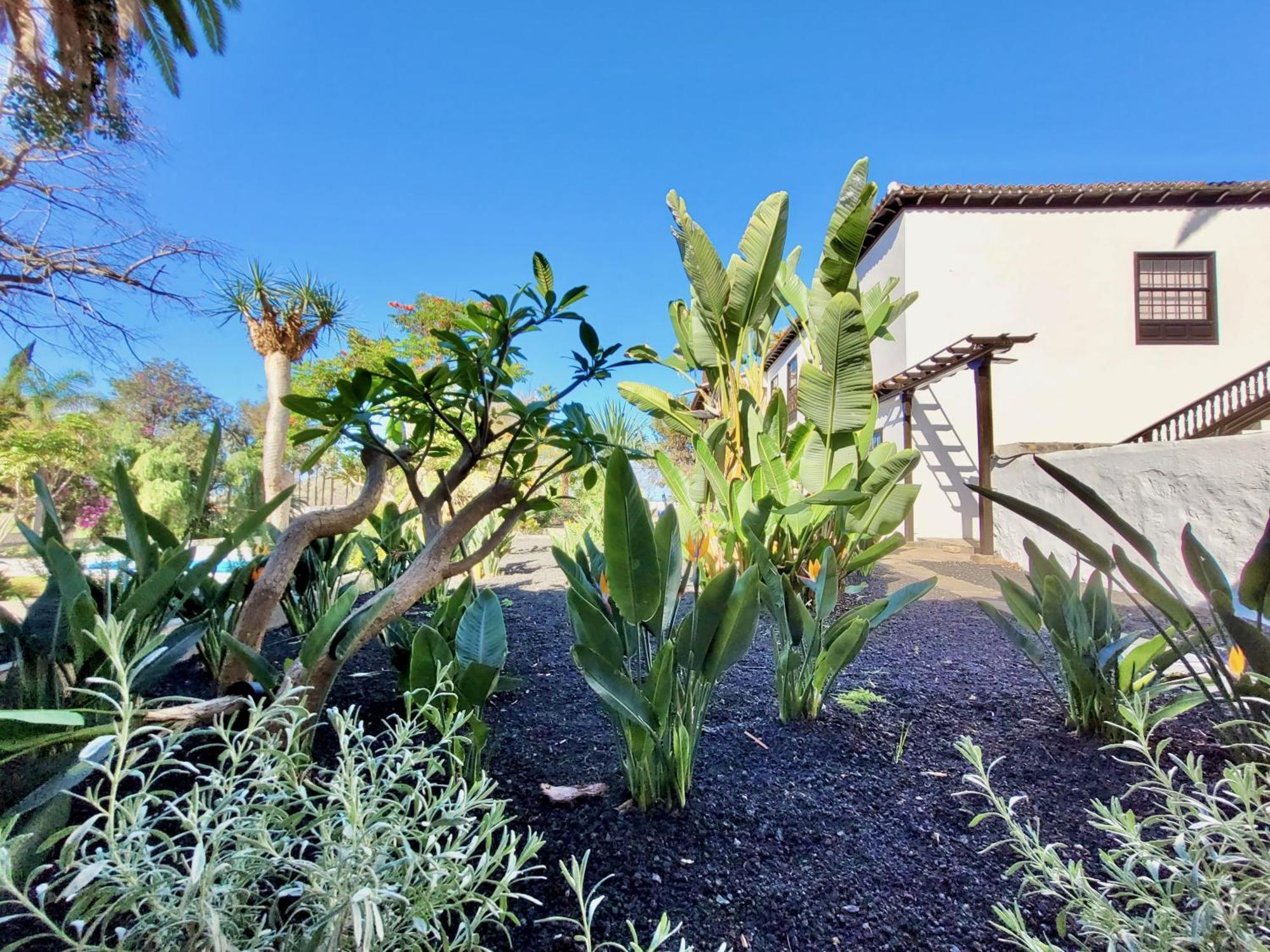 Apartamento Hacienda La Vizcaina La Orotava Exterior foto